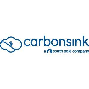 Carbonsink